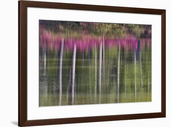 Tree trunks and azaleas reflected in calm pond, Georgia-Darrell Gulin-Framed Premium Photographic Print