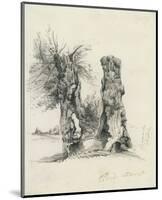 Tree Trunks at La Mare au Clerc-Claude Monet-Mounted Premium Giclee Print