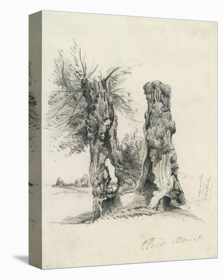 Tree Trunks at La Mare au Clerc-Claude Monet-Stretched Canvas