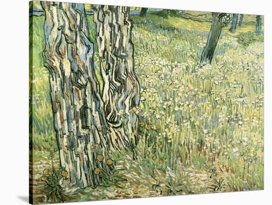 Tree Trunks in Grass, 1890-Vincent van Gogh-Stretched Canvas