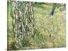 Tree Trunks in Grass, 1890-Vincent van Gogh-Stretched Canvas