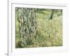 Tree Trunks in Grass, 1890-Vincent van Gogh-Framed Giclee Print