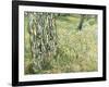 Tree Trunks in Grass, 1890-Vincent van Gogh-Framed Giclee Print