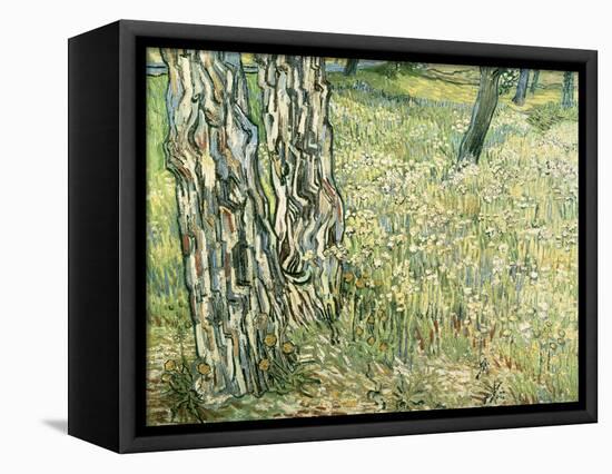 Tree Trunks in Grass, 1890-Vincent van Gogh-Framed Stretched Canvas