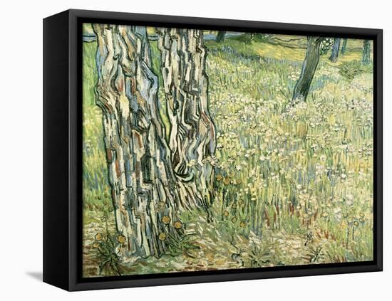 Tree Trunks in Grass, 1890-Vincent van Gogh-Framed Stretched Canvas