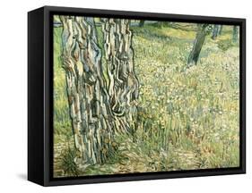 Tree Trunks in Grass, 1890-Vincent van Gogh-Framed Stretched Canvas