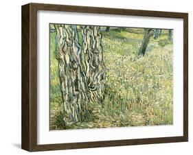 Tree Trunks in Grass, 1890-Vincent van Gogh-Framed Giclee Print