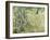 Tree Trunks in Grass, 1890-Vincent van Gogh-Framed Giclee Print