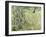 Tree Trunks in Grass, 1890-Vincent van Gogh-Framed Giclee Print