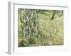 Tree Trunks in Grass, 1890-Vincent van Gogh-Framed Giclee Print