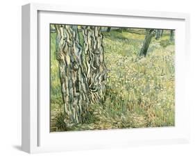 Tree Trunks in Grass, 1890-Vincent van Gogh-Framed Giclee Print