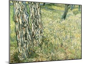 Tree Trunks in Grass, 1890-Vincent van Gogh-Mounted Giclee Print