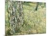 Tree Trunks in Grass, 1890-Vincent van Gogh-Mounted Giclee Print