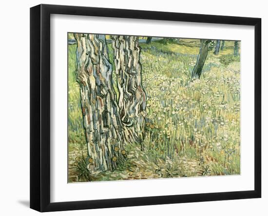 Tree Trunks in Grass, 1890-Vincent van Gogh-Framed Premium Giclee Print