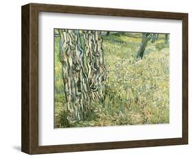 Tree Trunks in Grass, 1890-Vincent van Gogh-Framed Giclee Print