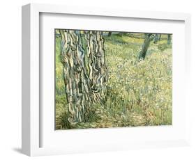 Tree Trunks in Grass, 1890-Vincent van Gogh-Framed Giclee Print