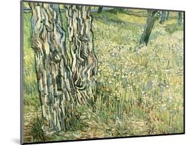 Tree Trunks in Grass, 1890-Vincent van Gogh-Mounted Giclee Print