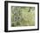 Tree Trunks in Grass, 1890-Vincent van Gogh-Framed Premium Giclee Print