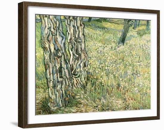 Tree Trunks in Grass, 1890-Vincent van Gogh-Framed Giclee Print