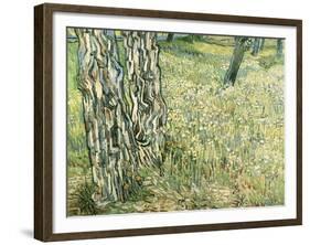 Tree Trunks in Grass, 1890-Vincent van Gogh-Framed Giclee Print