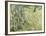 Tree Trunks in Grass, 1890-Vincent van Gogh-Framed Giclee Print