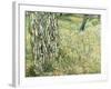 Tree Trunks in Grass, 1890-Vincent van Gogh-Framed Giclee Print