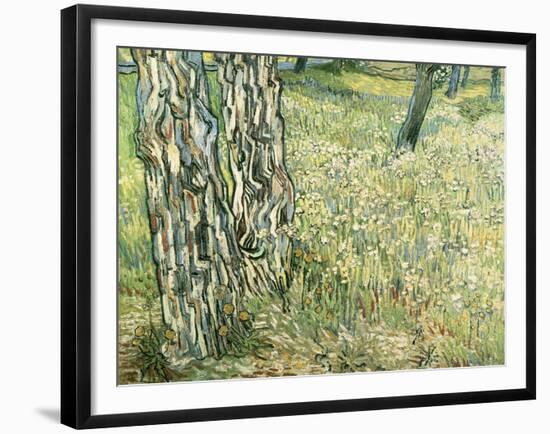 Tree Trunks in Grass, 1890-Vincent van Gogh-Framed Giclee Print