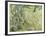 Tree Trunks in Grass, 1890-Vincent van Gogh-Framed Giclee Print