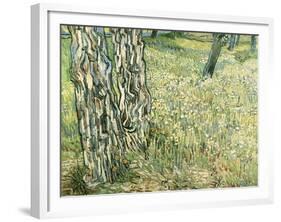 Tree Trunks in Grass, 1890-Vincent van Gogh-Framed Giclee Print