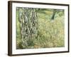 Tree Trunks in Grass, 1890-Vincent van Gogh-Framed Giclee Print