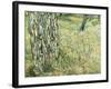 Tree Trunks in Grass, 1890-Vincent van Gogh-Framed Giclee Print