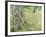 Tree Trunks in Grass, 1890-Vincent van Gogh-Framed Giclee Print