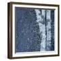 Tree Trunks-Micha Pawlitzki-Framed Premium Photographic Print