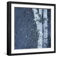 Tree Trunks-Micha Pawlitzki-Framed Premium Photographic Print