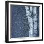 Tree Trunks-Micha Pawlitzki-Framed Premium Photographic Print