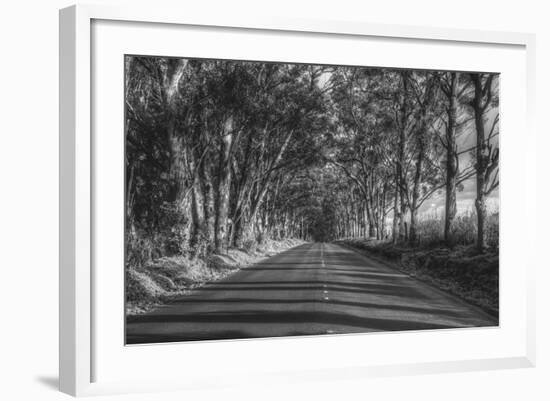 Tree Tunnel to Old Koloa Town (B/W), Kauai Hawaii-Vincent James-Framed Photographic Print