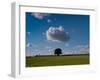 Tree Under Cloud-Charles Bowman-Framed Photographic Print