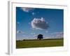 Tree Under Cloud-Charles Bowman-Framed Photographic Print