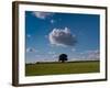 Tree Under Cloud-Charles Bowman-Framed Photographic Print