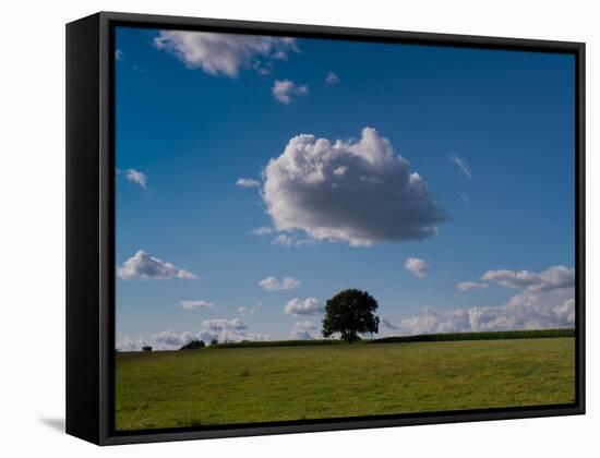 Tree Under Cloud-Charles Bowman-Framed Stretched Canvas