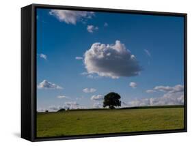 Tree Under Cloud-Charles Bowman-Framed Stretched Canvas