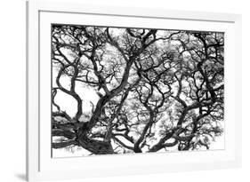 Tree Vine-Howard Ruby-Framed Photographic Print