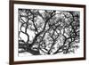 Tree Vine-Howard Ruby-Framed Photographic Print