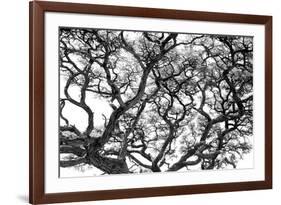 Tree Vine-Howard Ruby-Framed Photographic Print