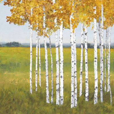 'Tree Vista Escape' Giclee Print Mark Chandon