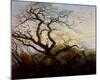 Tree with Crows-Caspar David Friedrich-Mounted Art Print