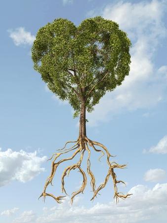https://imgc.allpostersimages.com/img/posters/tree-with-foliage-in-the-shape-of-a-heart-with-roots-as-text-love_u-L-PN8RAL0.jpg?artPerspective=n