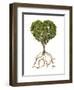 Tree with Foliage in the Shape of a Heart with Roots as Text Love-null-Framed Art Print