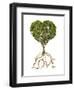 Tree with Foliage in the Shape of a Heart with Roots as Text Love-null-Framed Art Print