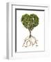 Tree with Foliage in the Shape of a Heart with Roots as Text Love-null-Framed Art Print